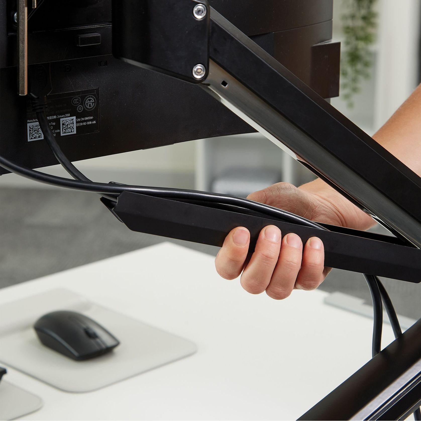 Tallo™ Dual Monitor Arm gallery detail image