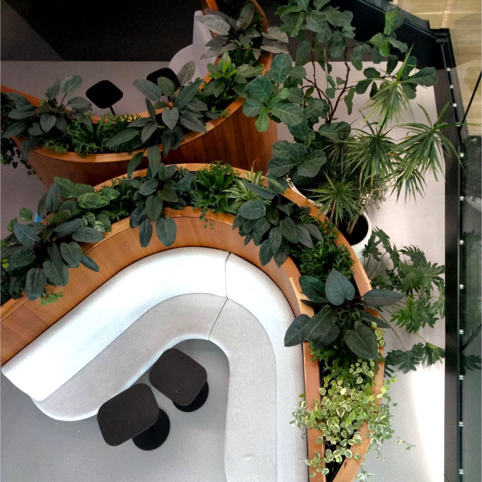 In-Built Gardens | Hire Plants gallery detail image