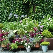 New Pot | Pots gallery detail image