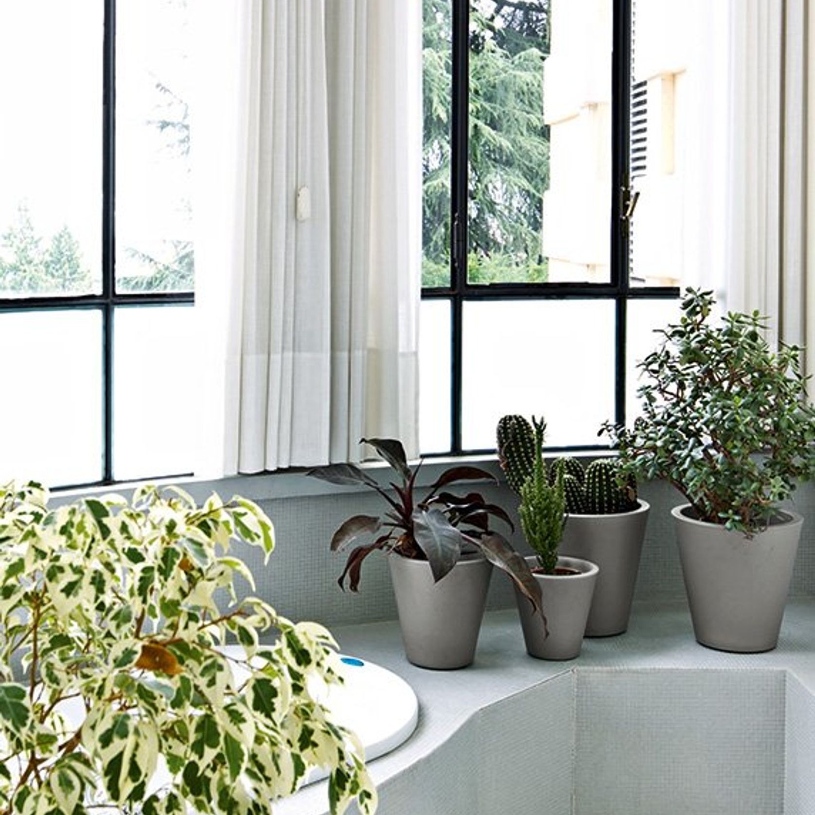 New Pot | Pots gallery detail image