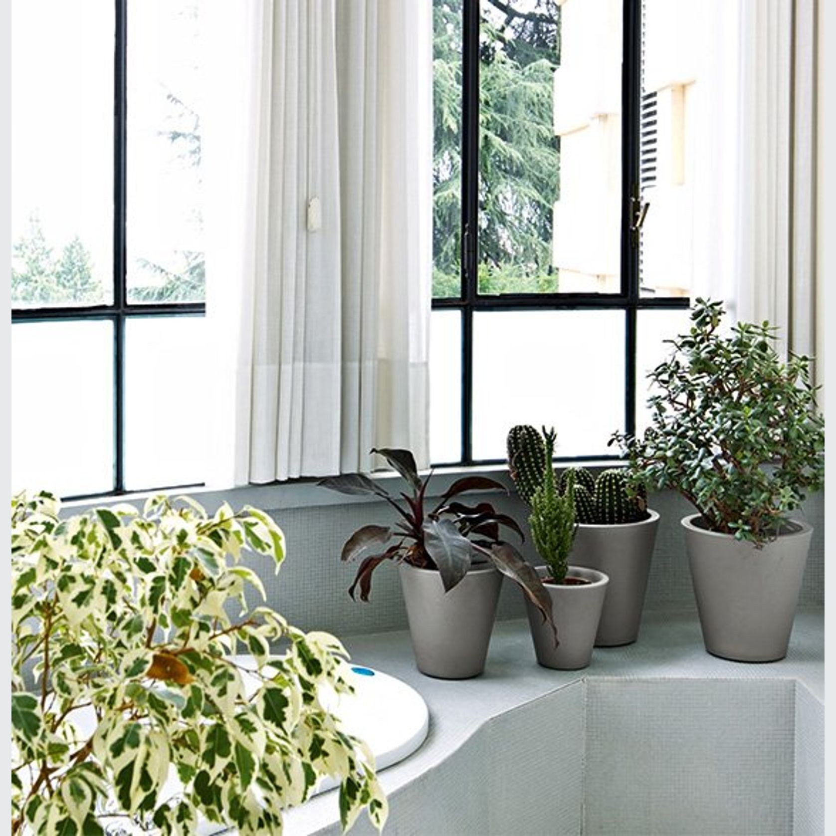 New Pot | Pots gallery detail image