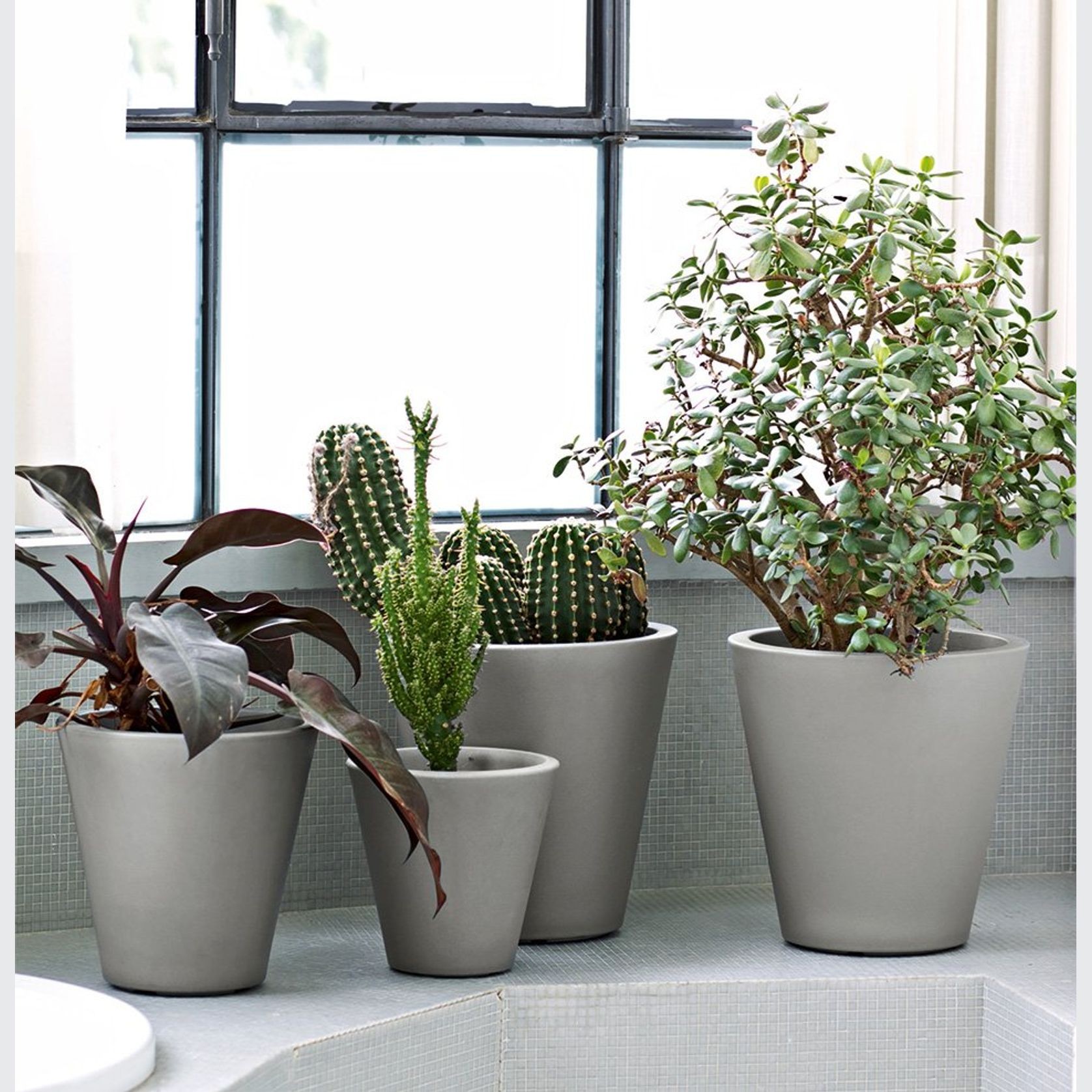 New Pot | Pots gallery detail image