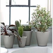 New Pot | Pots gallery detail image