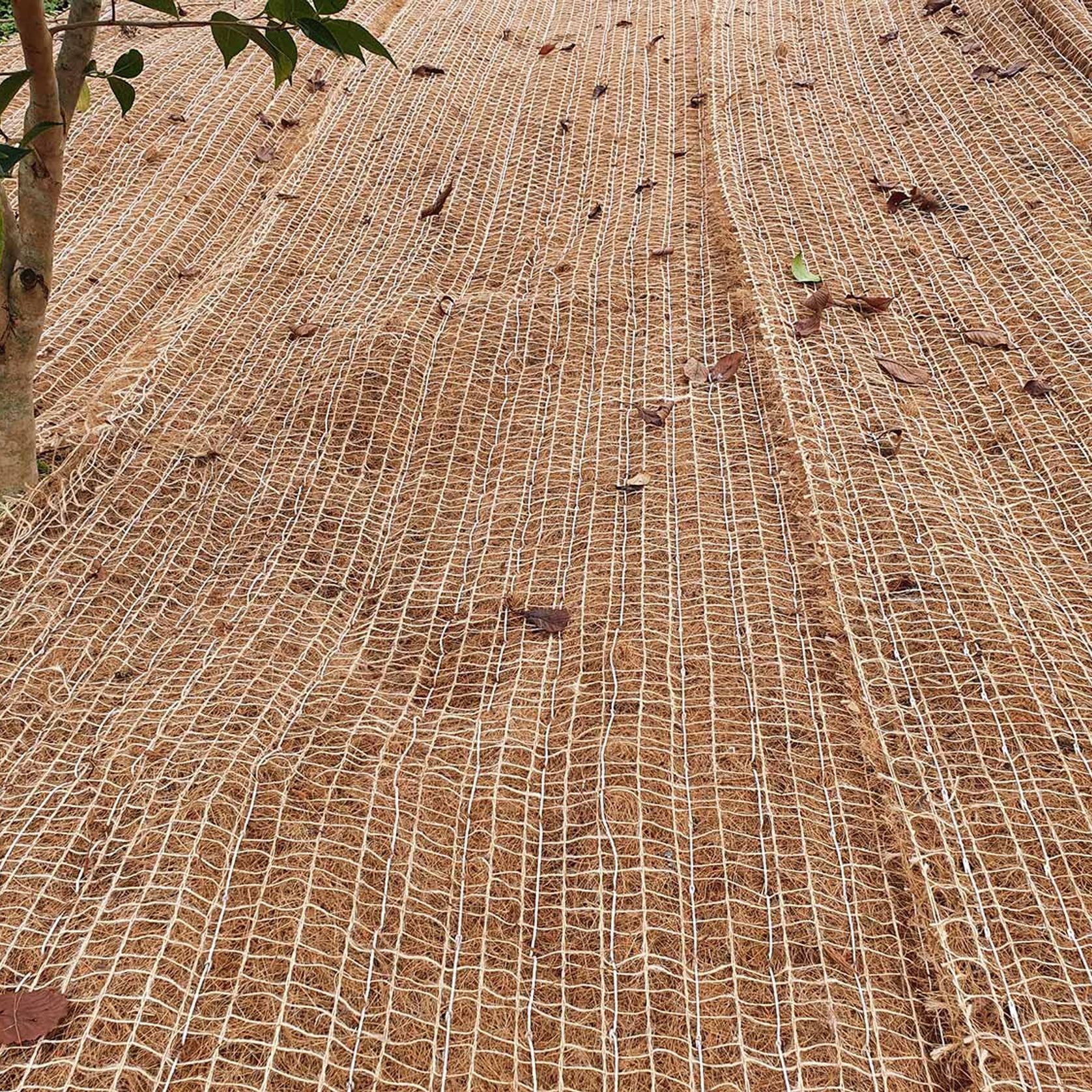 Coconut Matting gallery detail image