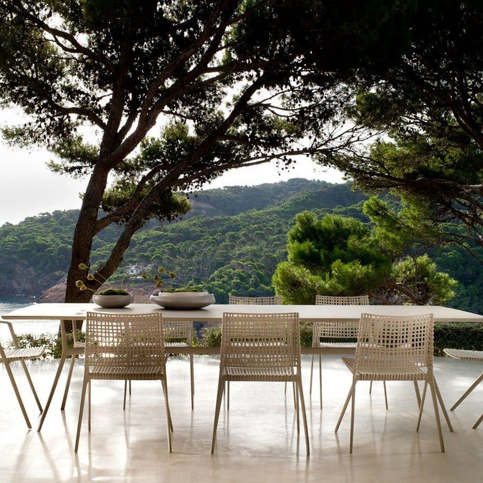 Branch | Side Chair gallery detail image