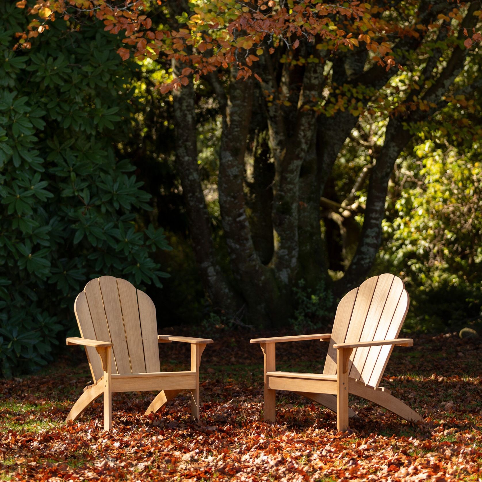 Adirondack Teak Chair gallery detail image