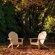 Adirondack Teak Chair gallery detail image