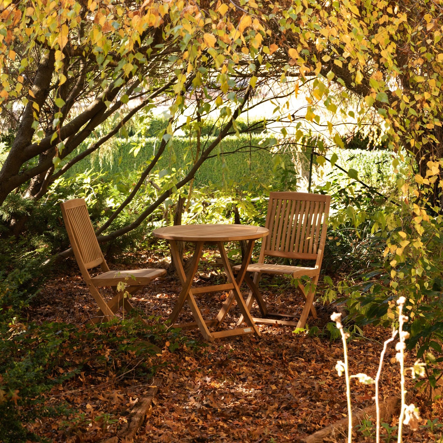 Toronto Teak Folding Side Chair gallery detail image