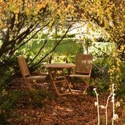 Toronto Teak Folding Side Chair gallery detail image