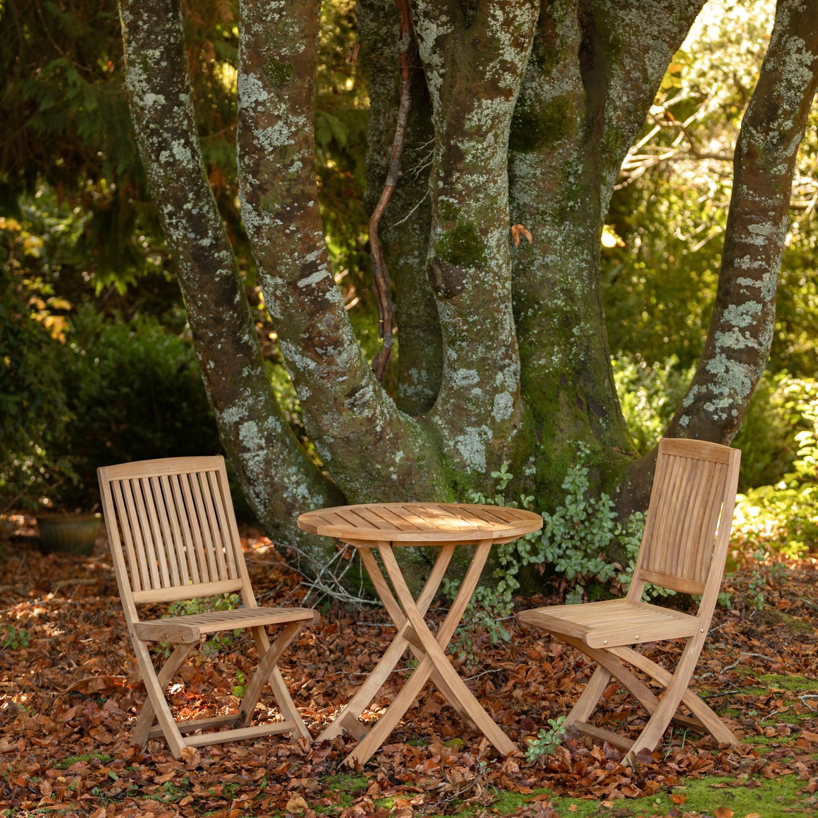 Toronto Teak Folding Side Chair gallery detail image