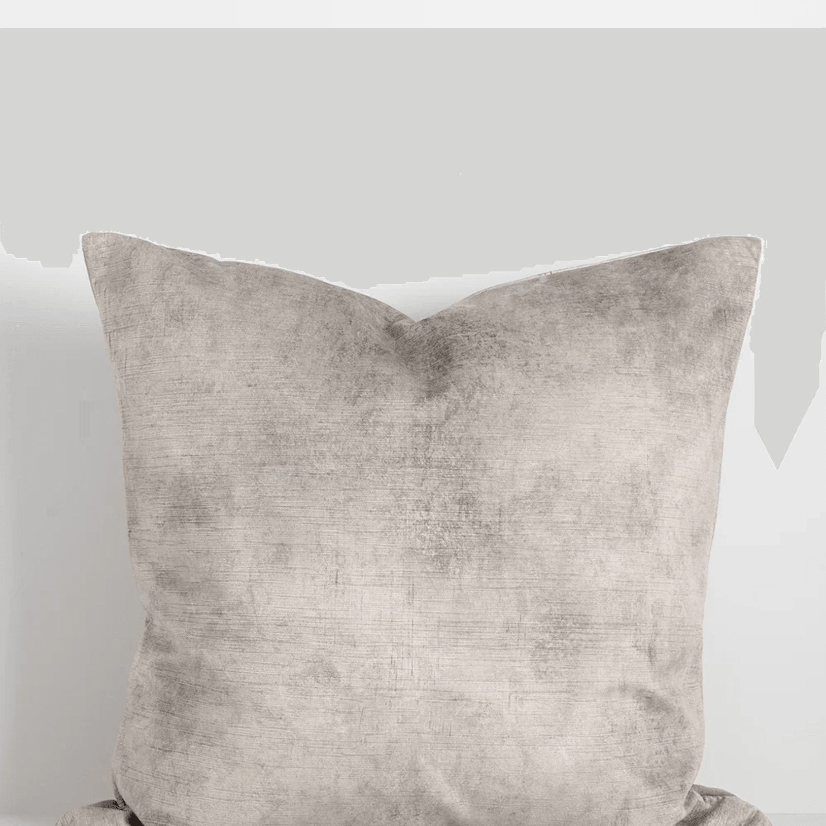 Baya Theo Velvet Cushion - Trout | Large 60 x 60cm gallery detail image