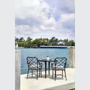 Calcutta Dining Arm Chair gallery detail image