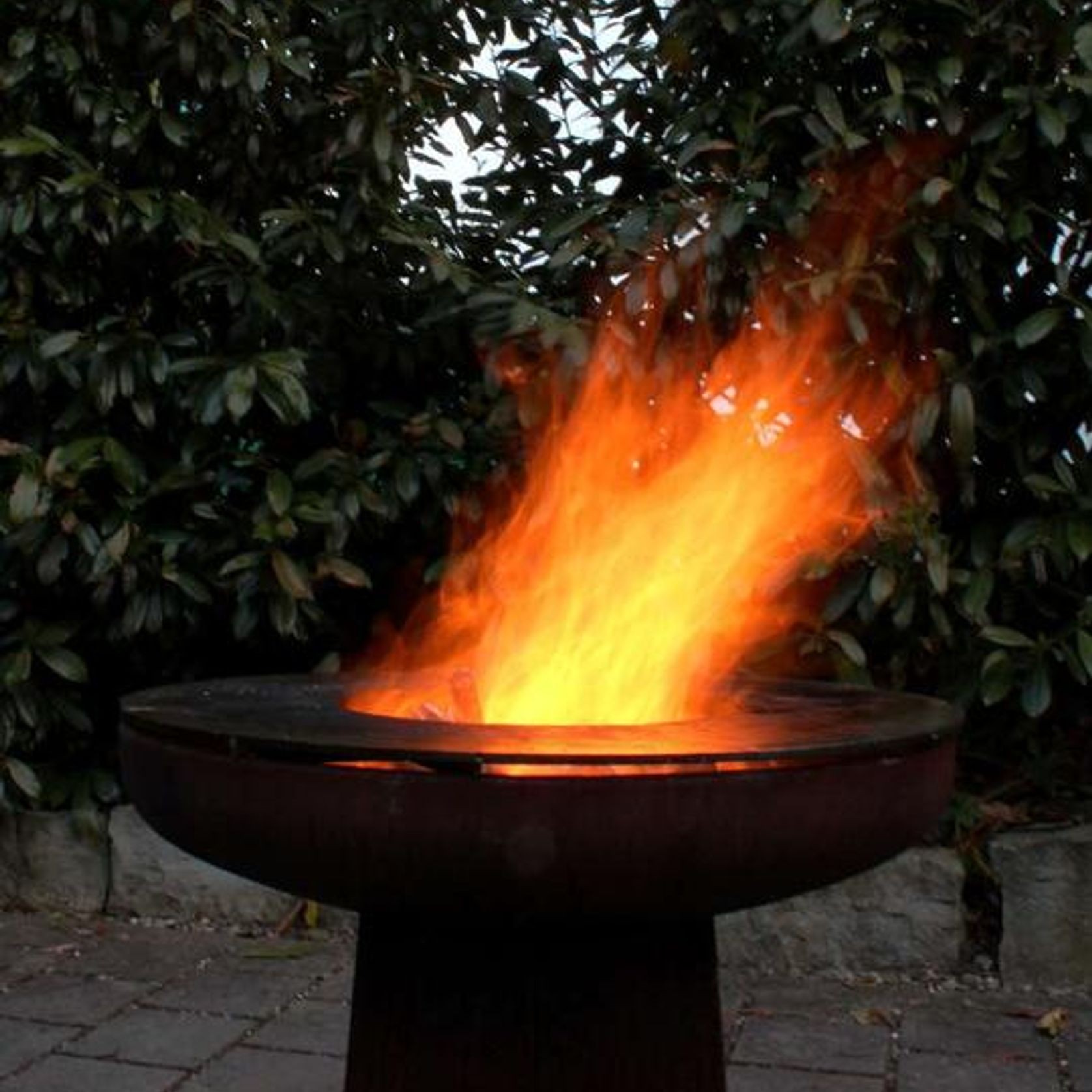 Yagoona Ring Grill BBQ And Goanna Fire Pit 80cm gallery detail image