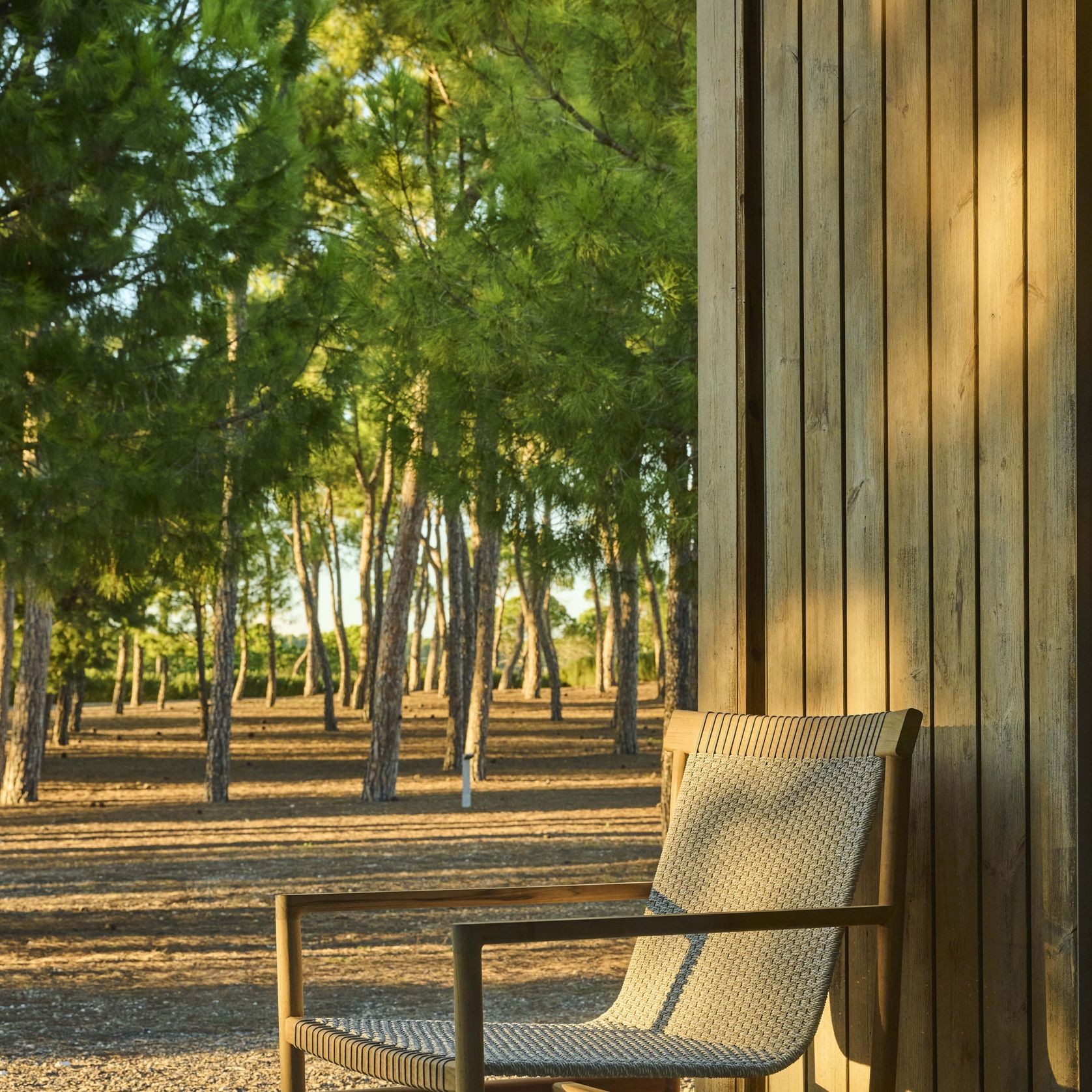 Amanu | Lounge Chair gallery detail image