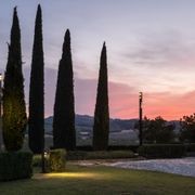 Lucera gallery detail image