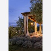 Lampiok 1 Model 4 Outdoor Pendant gallery detail image