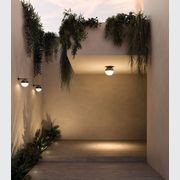 Sfera Ceiling Light gallery detail image