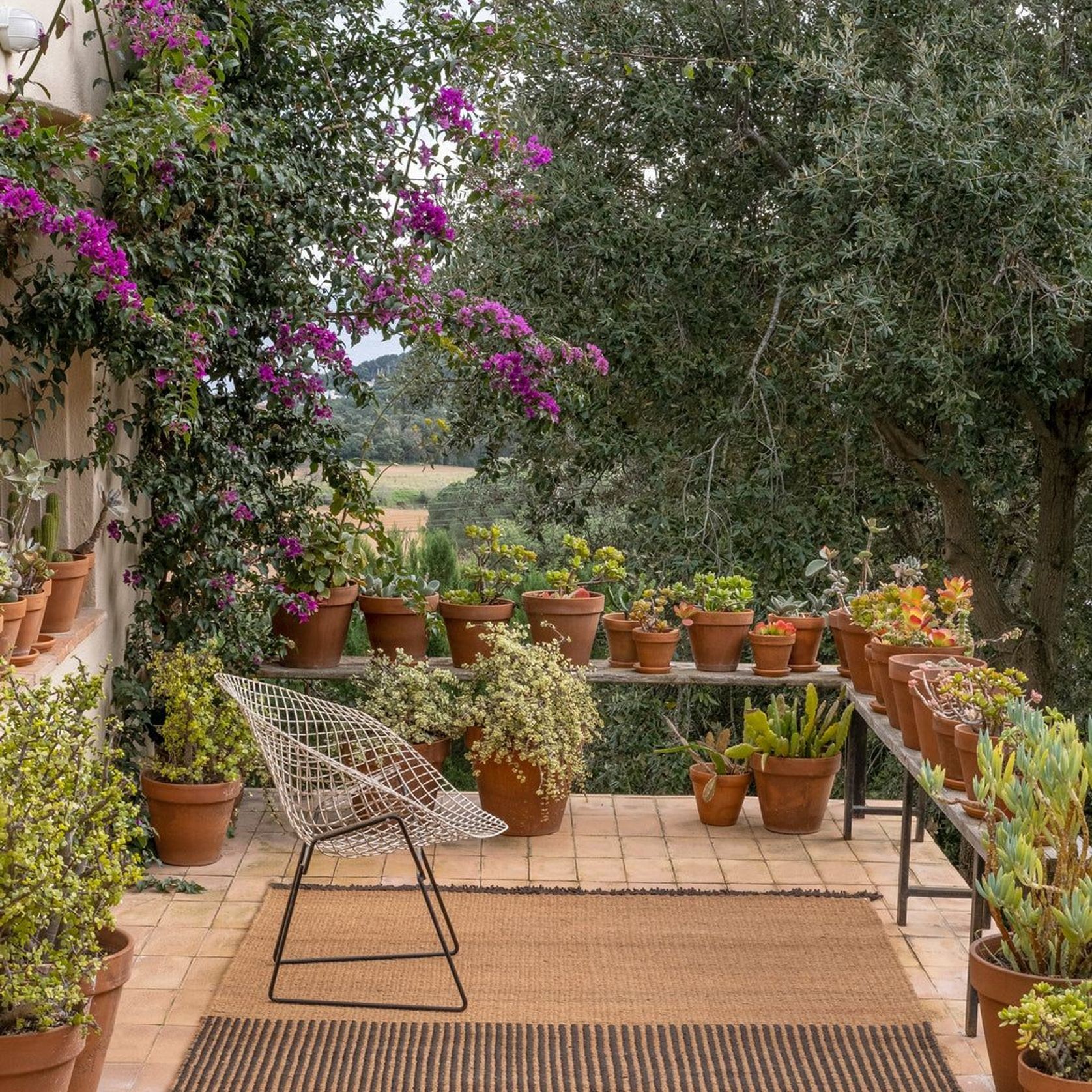 Garden Collection gallery detail image