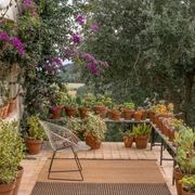 Garden Collection gallery detail image