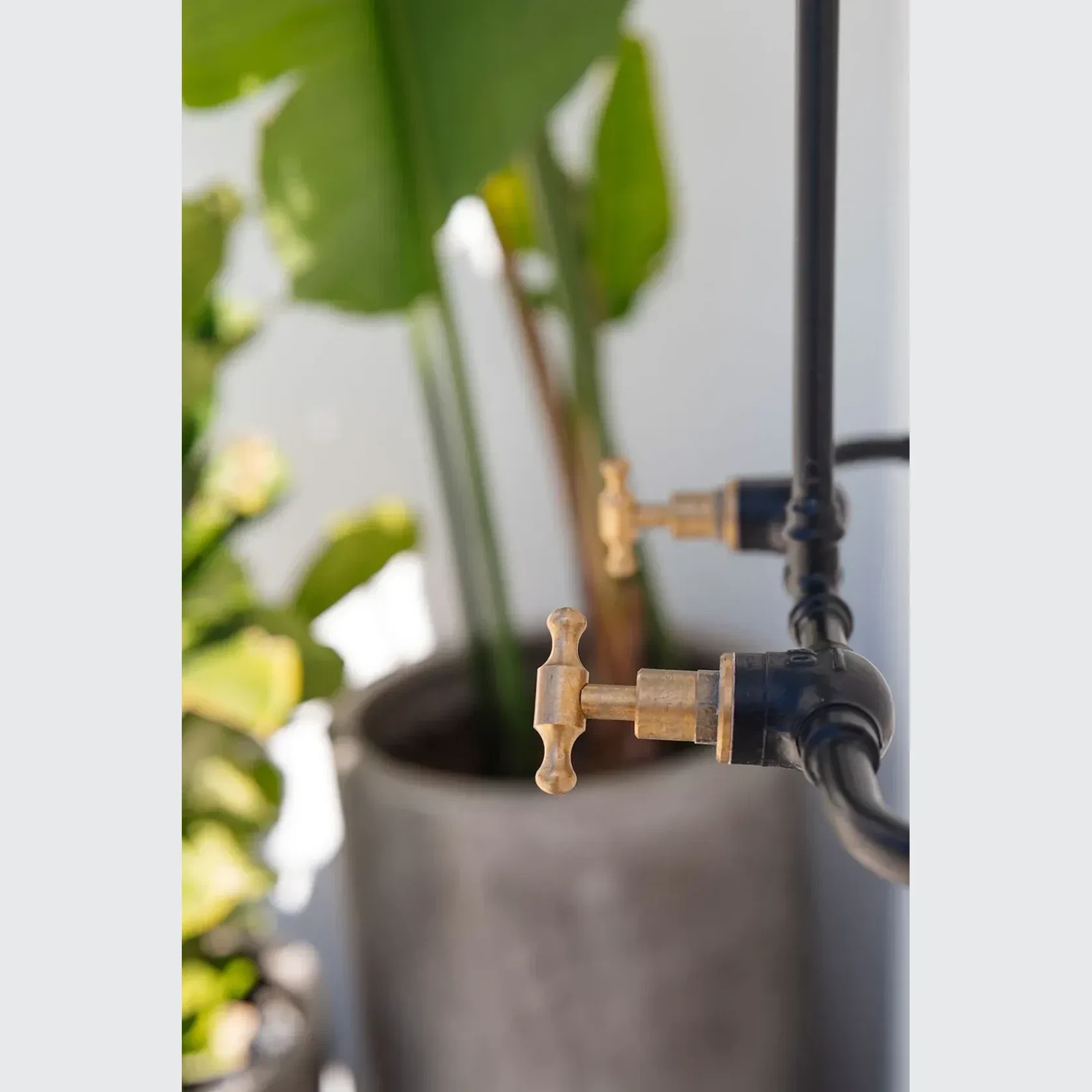 Noosa Wall Mount Outdoor Shower | Hot+Cold | Black gallery detail image