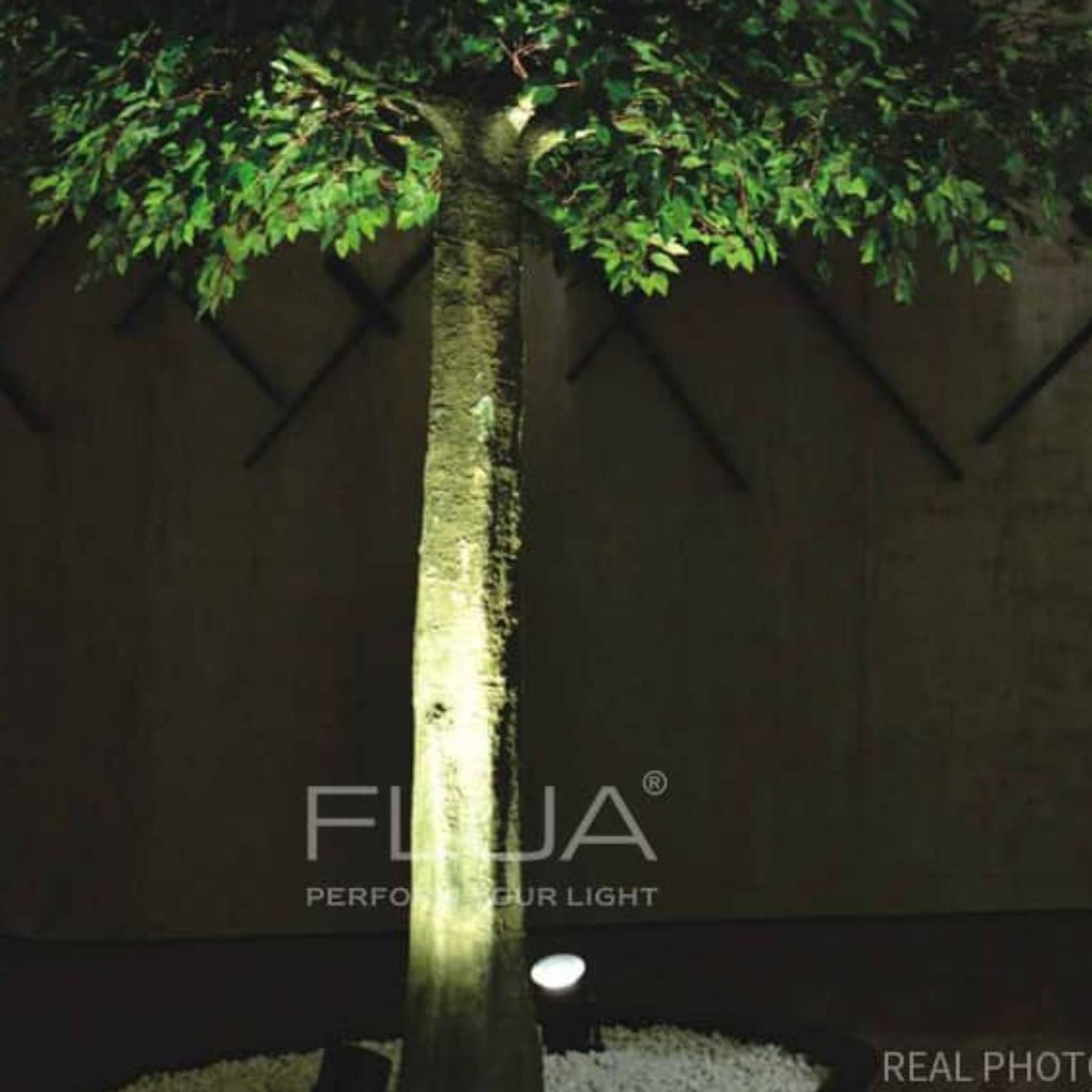 PICTOR | Outdoor Garden Spot Light gallery detail image