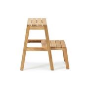 Step Ladder gallery detail image