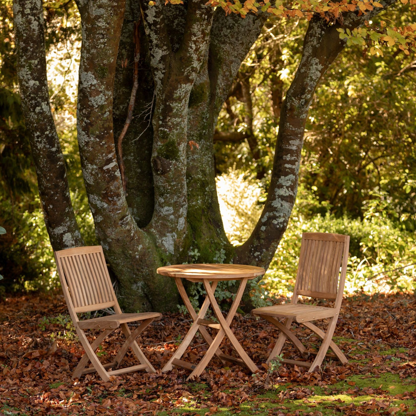 Cumberland 76cm Teak Folding Table gallery detail image
