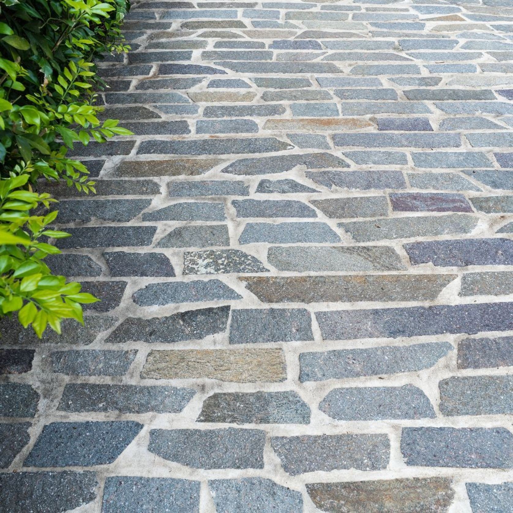 Italian Filetti gallery detail image