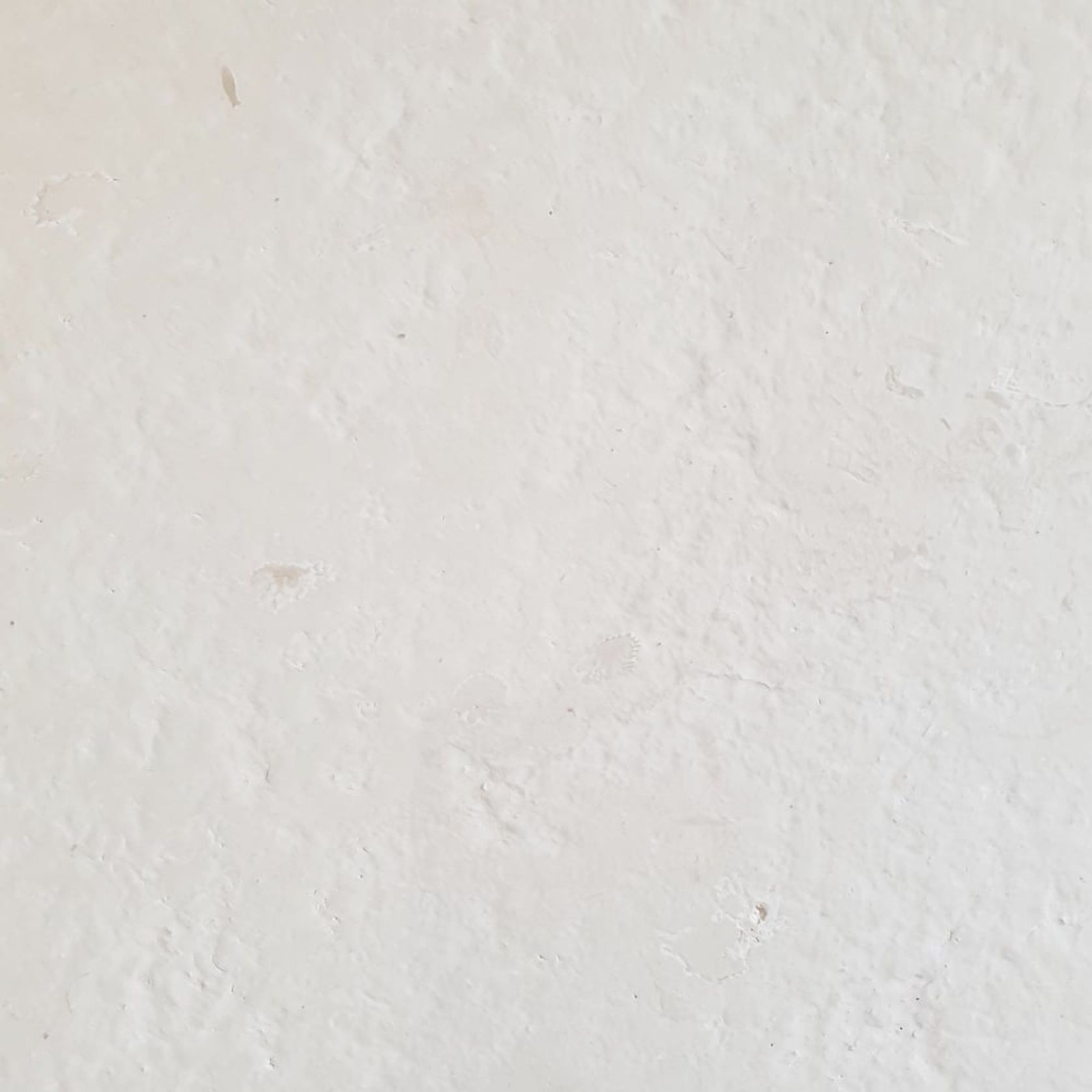 12mm Ivory Limestone Tiles - Honed gallery detail image