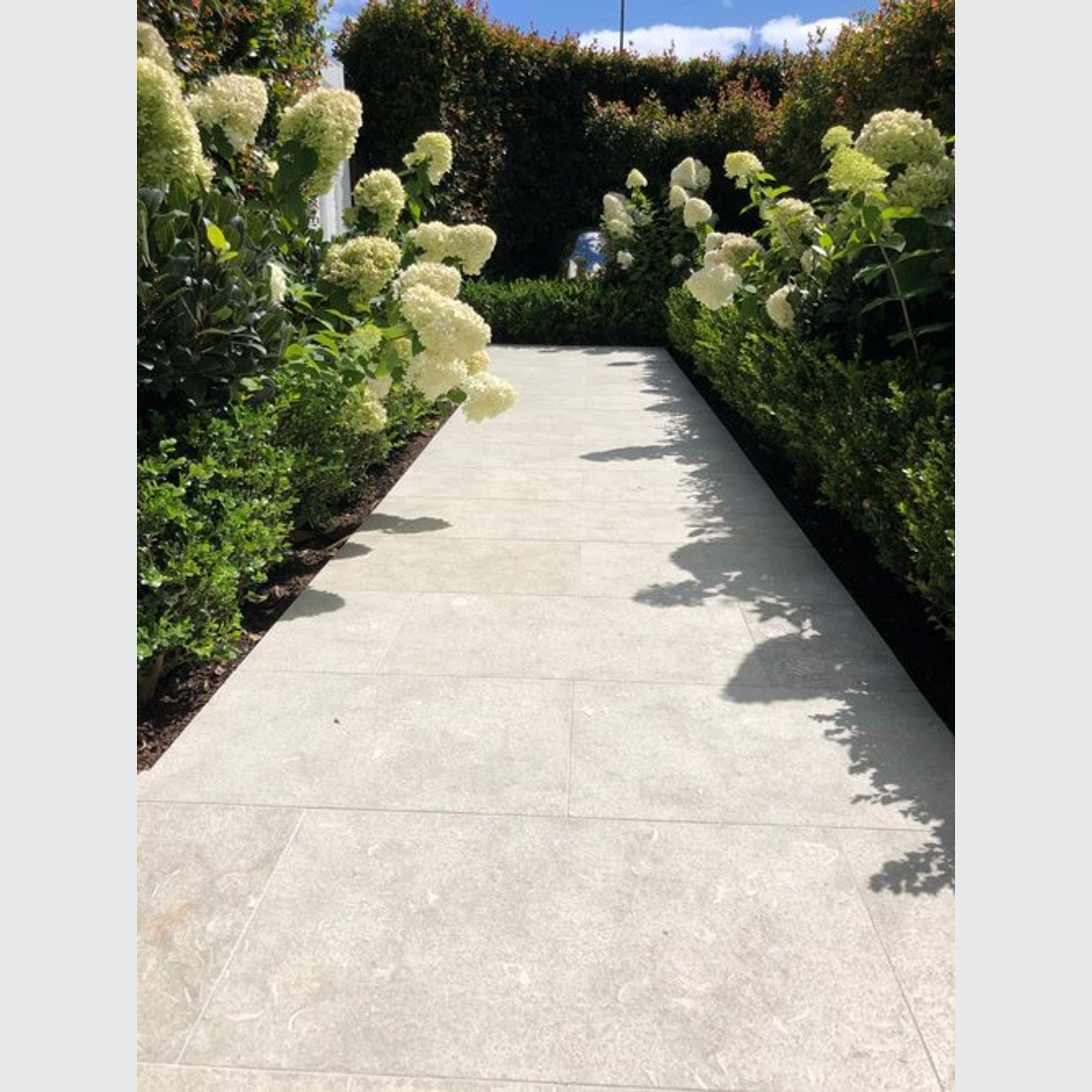 Seagrass Limestone | Paving gallery detail image