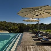 Riviera Cantilever Umbrellas gallery detail image