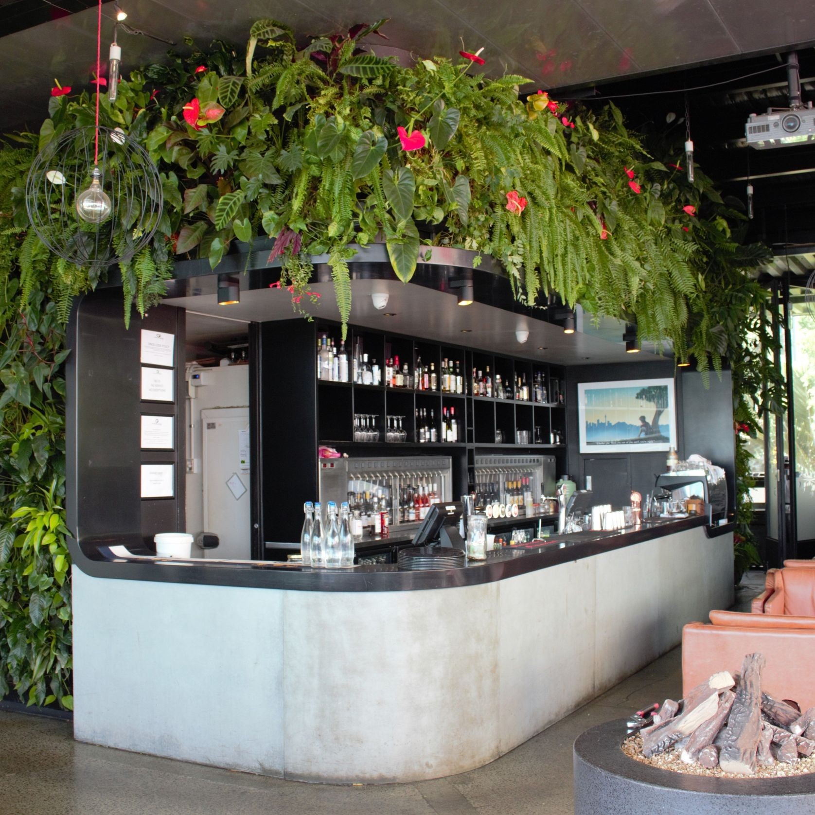 Vertical Green Walls | Hire Plants gallery detail image