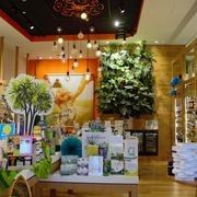 Vertical Green Walls | Hire Plants gallery detail image