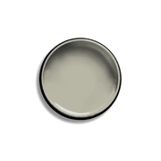 Resene Bone White gallery detail image