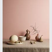 Eggshell Acrylic Paint in Babydoll  gallery detail image