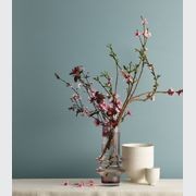 Eggshell Acrylic Paint in Hailstorm gallery detail image