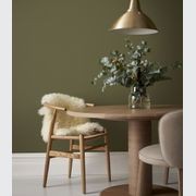 Eggshell Acrylic Paint in Timberline  gallery detail image