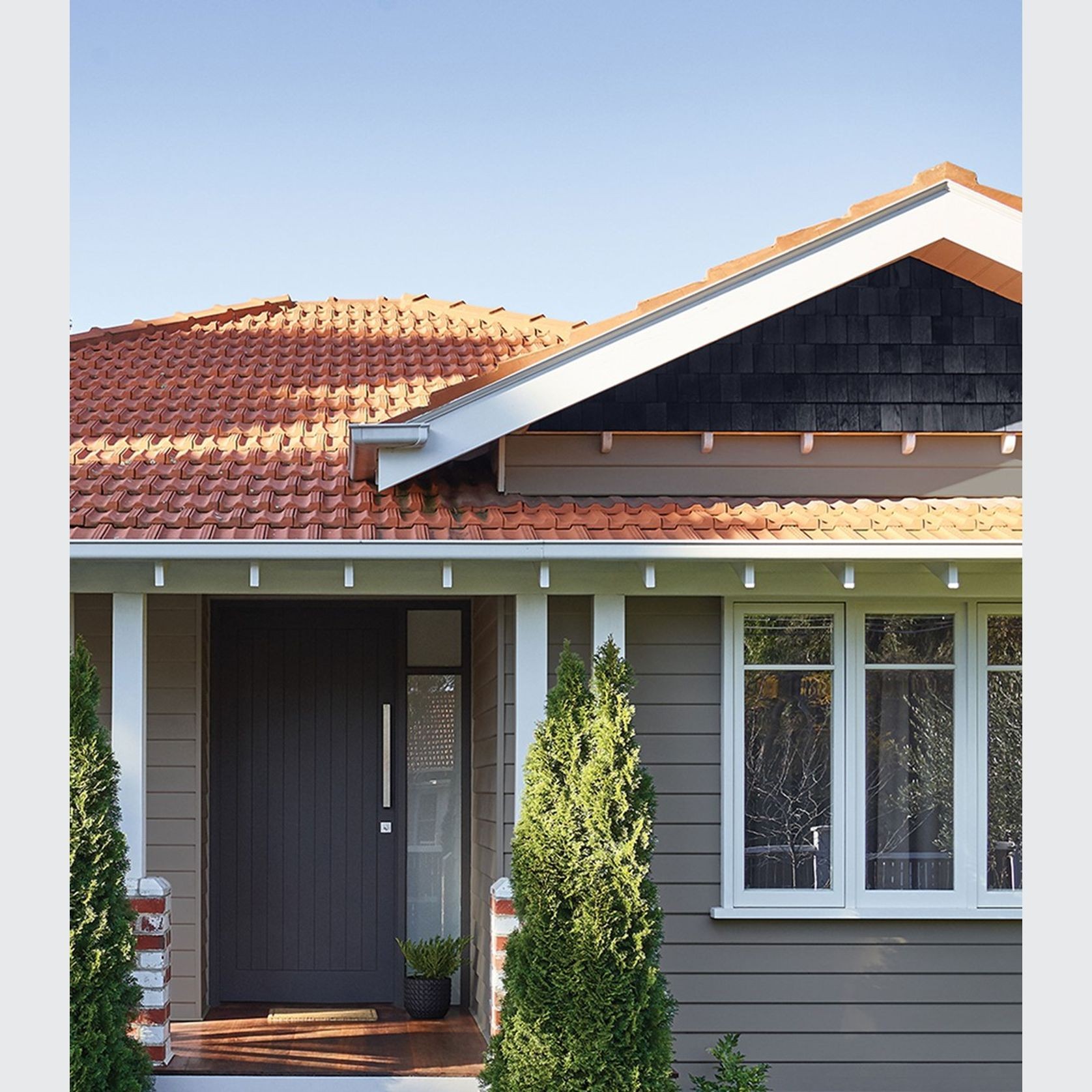 Eggshell Acrylic Paint in Wattleseed gallery detail image