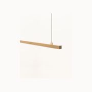 Lateral Light Pendant by Powersurge gallery detail image