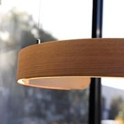 ARC Series Curved Timber Linear LED Pendant gallery detail image
