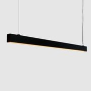 Mondo Lineal 60 Pendant Light gallery detail image