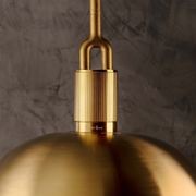 Shade Forked Globe Pendant | Smoke gallery detail image