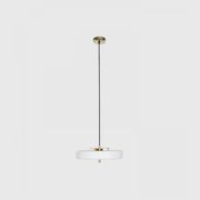 Revolve Pendant Light gallery detail image