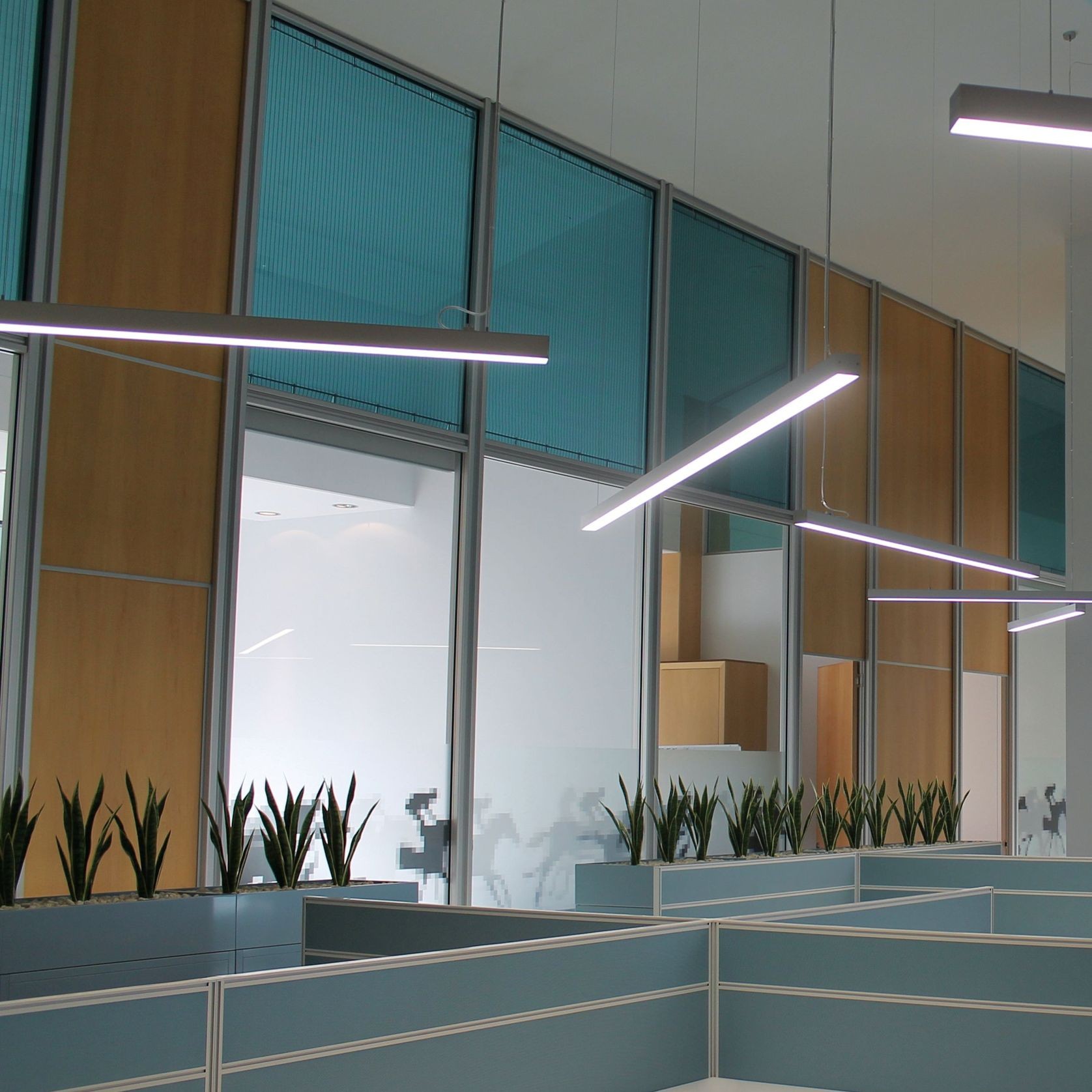 Timber Pendants LED gallery detail image