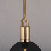 Forked Globe Pendant Light - Smoked gallery detail image