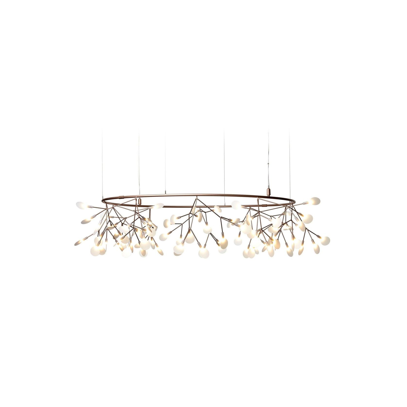 Heracleum Small Big O gallery detail image