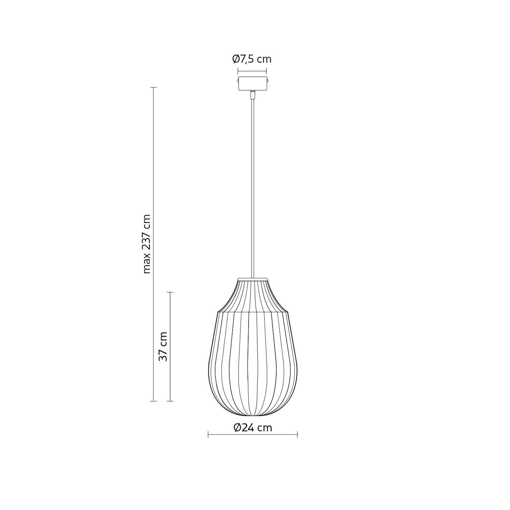 Circus Pendant Light gallery detail image