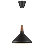 Nori 27 Metal Pendant gallery detail image