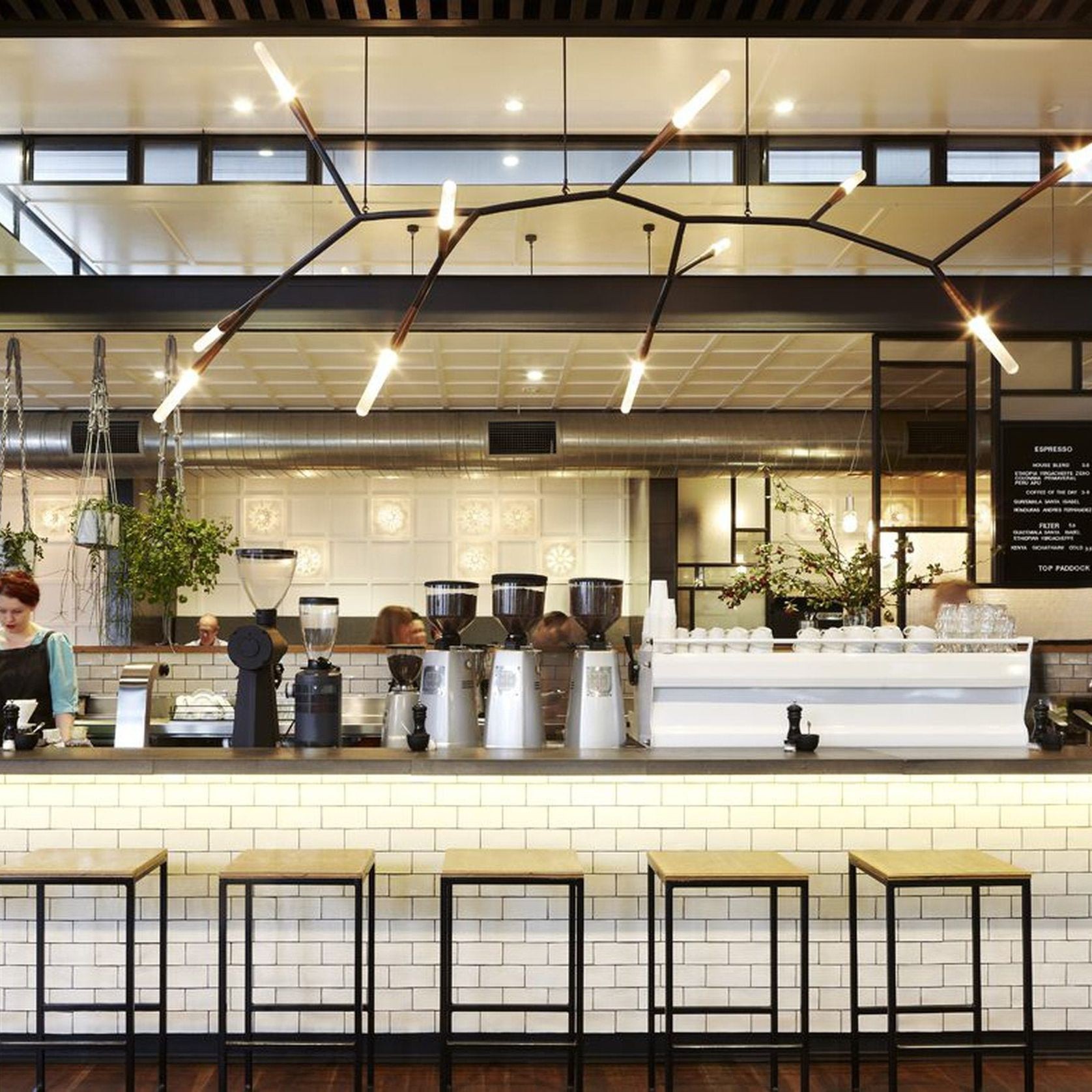 Phasmida Horizontal | Christopher Boots gallery detail image