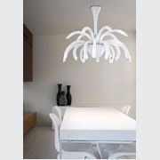 Phoenix gallery detail image